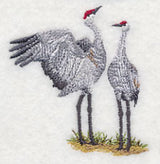 Sandhill Crane Pair