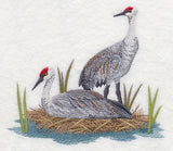 Sandhill Cranes on Shore