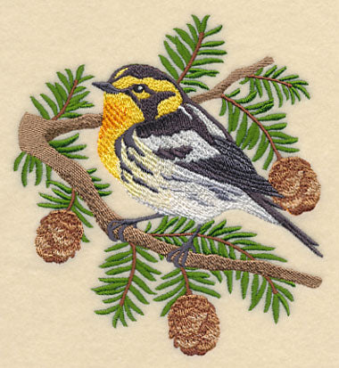 Blackburnian Warbler