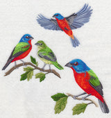 Painted Bunting Collage