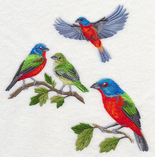 Painted Bunting Collage