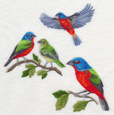 Painted Bunting Collage