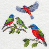 Painted Bunting Collage