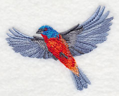 Painted Bunting in Flight