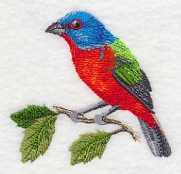 Painted Bunting on a Branch