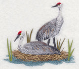 Sandhill Cranes on Shore