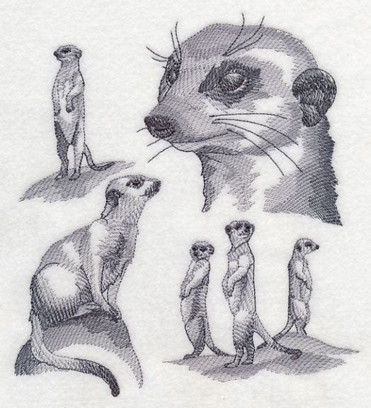 Meerkat Sketch