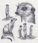 Meerkat Sketch