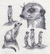 Meerkat Sketch