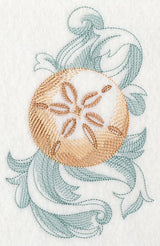 Sand Dollar with Baroque Background