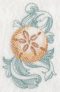 Sand Dollar with Baroque Background