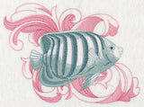 Angelfish with Baroque Background