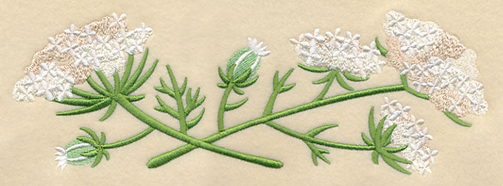 Queen Anne's Lace Border