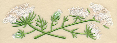 Queen Anne's Lace Border