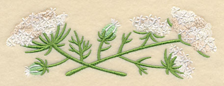 Queen Anne's Lace Border