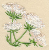 Queen Anne's Lace Corner