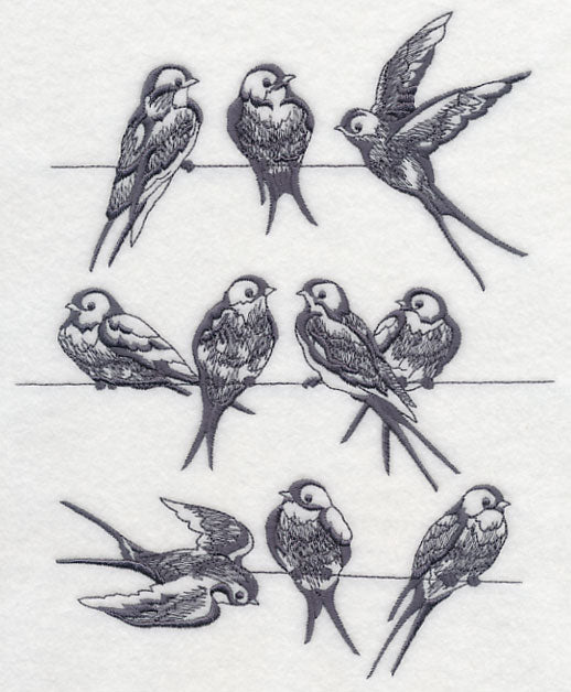 Swallows on a Wire