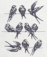 Swallows on a Wire