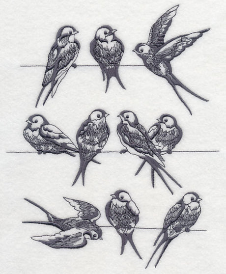 Swallows on a Wire