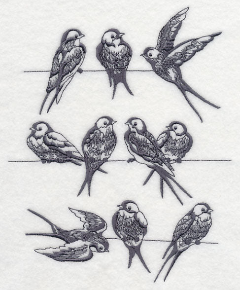 Swallows on a Wire