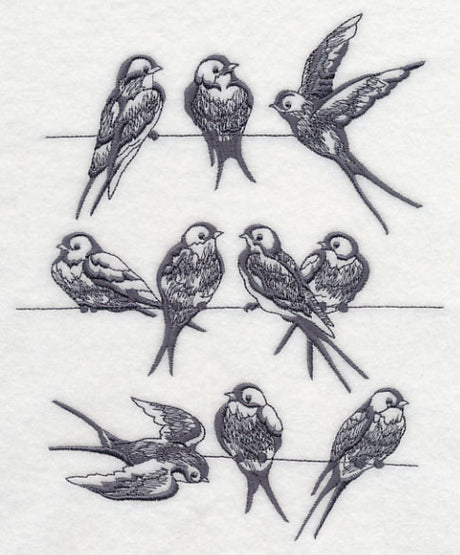 Swallows on a Wire