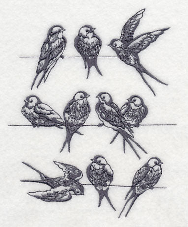 Swallows on a Wire