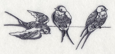 Swallows on a Wire 3