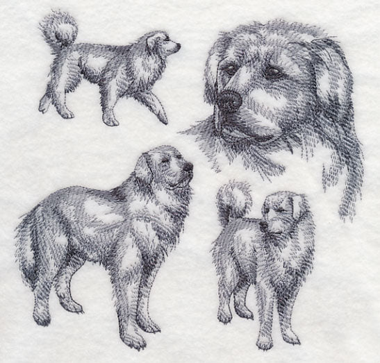 Great Pyrenees Sketch