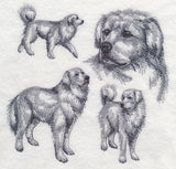 Great Pyrenees Sketch