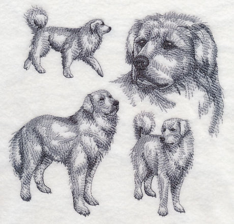 Great Pyrenees Sketch
