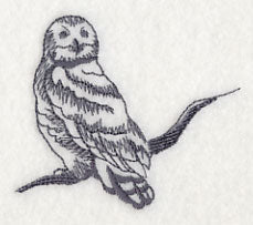 Owl Wisdom - Snowy Owl