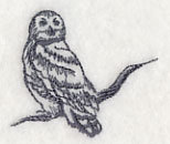 Owl Wisdom - Snowy Owl