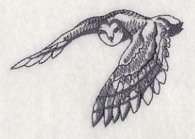 Owl Wisdom - Barn Owl