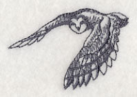 Owl Wisdom - Barn Owl