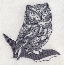 Owl Wisdom - Screech Owl