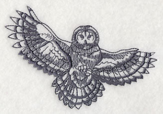 Owl Wisdom - Barred Owl