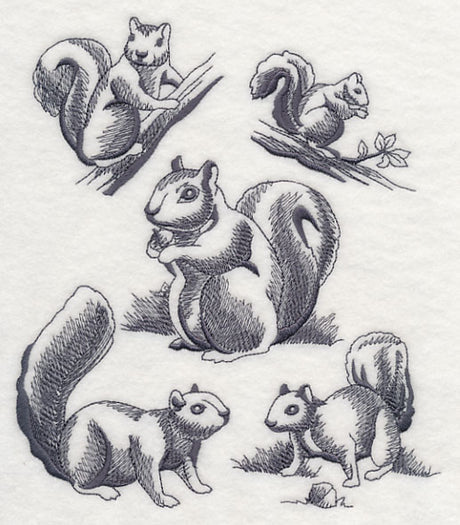 Squirrel Scurry