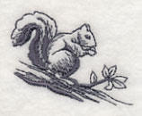 Squirrel Scurry 2