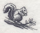 Squirrel Scurry 2