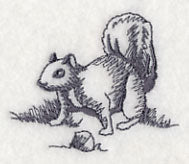 Squirrel Scurry 5