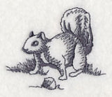 Squirrel Scurry 5