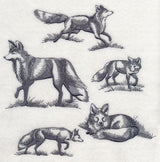 Foxes in Nature