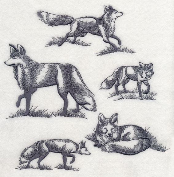 Foxes in Nature