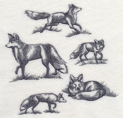 Foxes in Nature