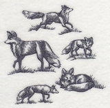 Foxes in Nature