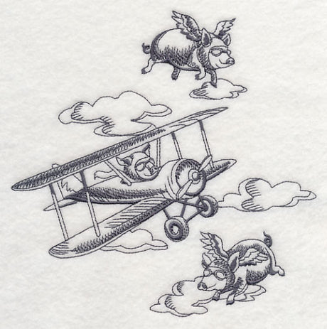 Flying Pigs and Plane