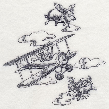 Flying Pigs and Plane