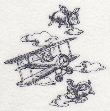 Flying Pigs and Plane