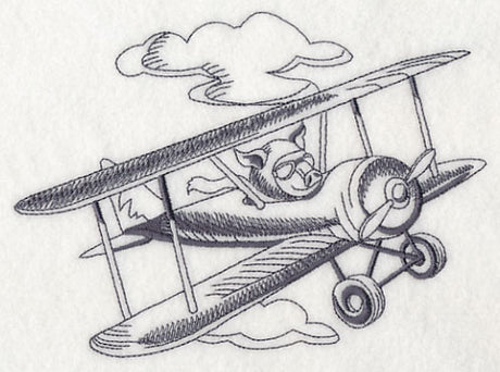 Flying Pigs and Plane 3