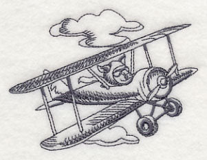 Flying Pigs and Plane 3